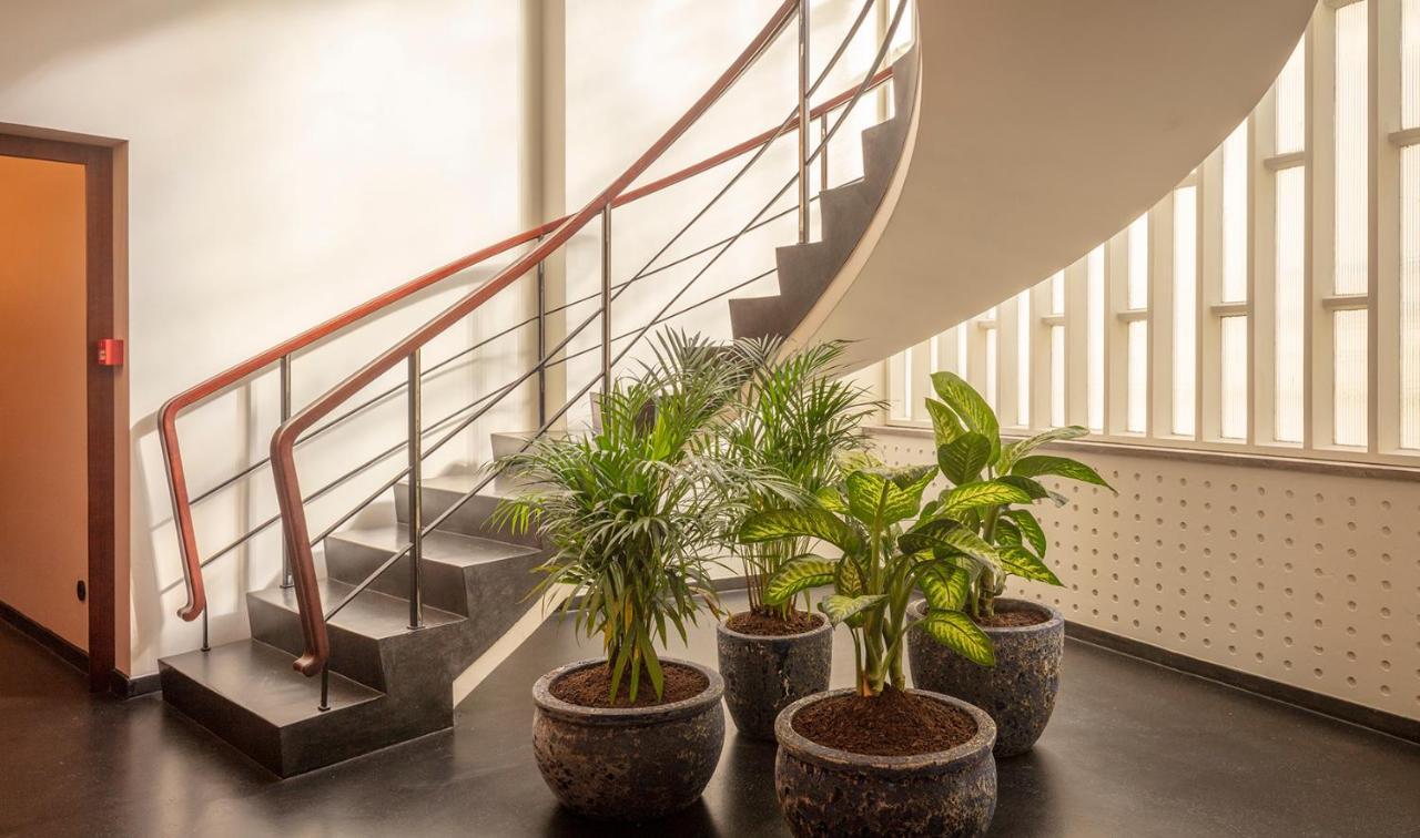 Ceuta Terrace Suites Porto Dış mekan fotoğraf